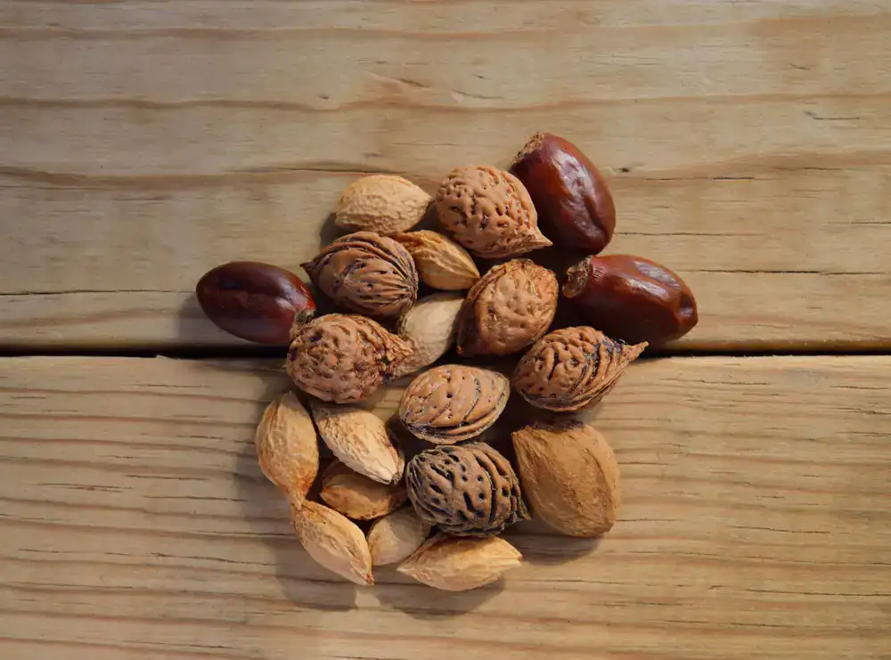 Assorted raw nuts and seeds