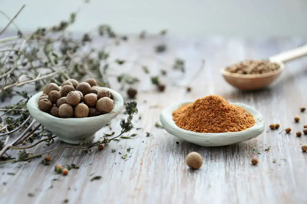 Dried herbs and colourful spices